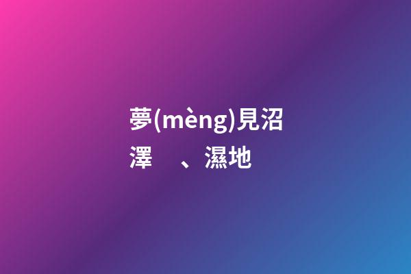 夢(mèng)見沼澤、濕地